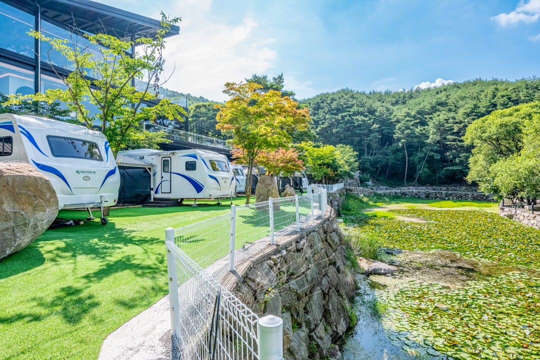 대구 80포레스트 카라반 캠프